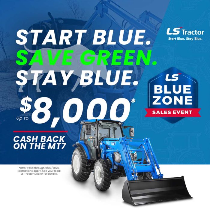 cash rebate