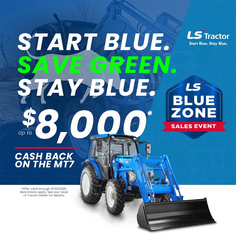 cash rebate